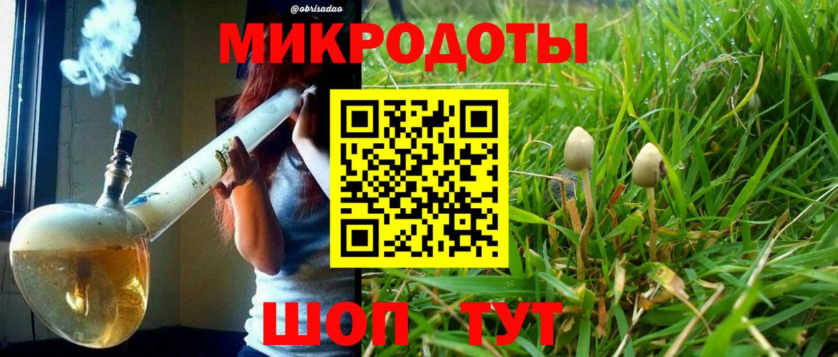 купить наркоту  Псилоцибиновые грибы мухоморы  Вход с VPN  Хасавюрт 